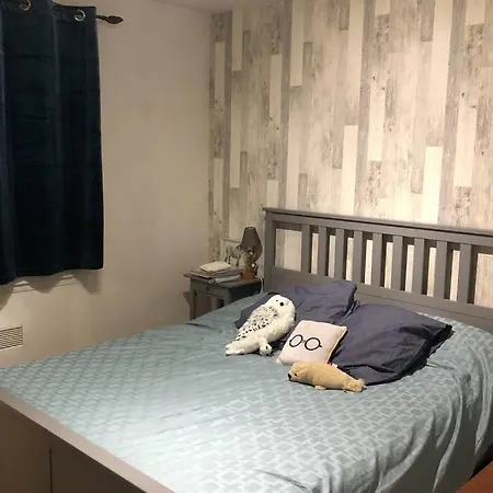 Maison 8 Pers, 15 Min Plage, Clim, Piscine,parking * La Teste-de-Buch